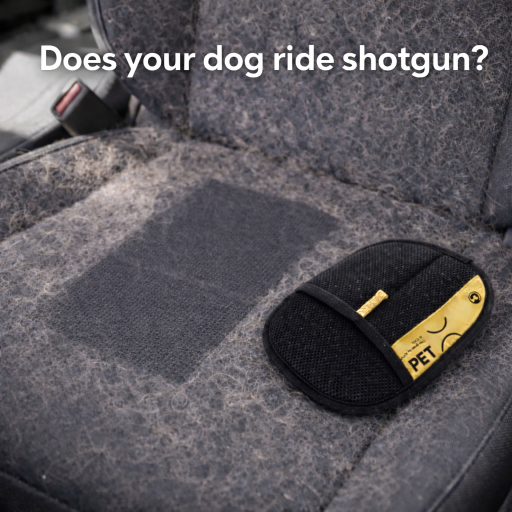 Remove Pet Hair In Seconds!